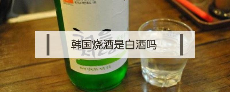 韩国烧酒是白酒吗