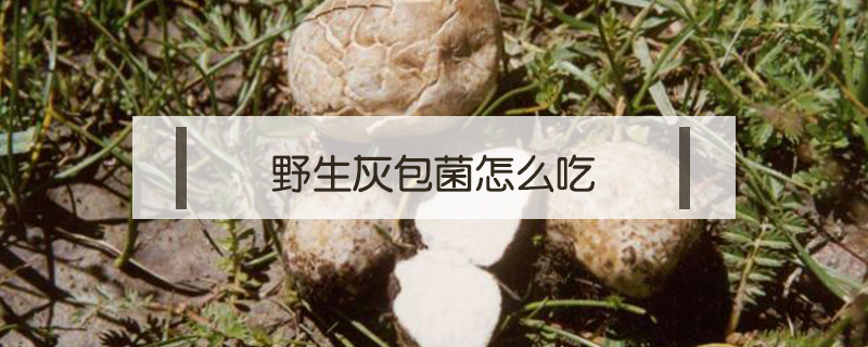 野生灰包菌怎么吃