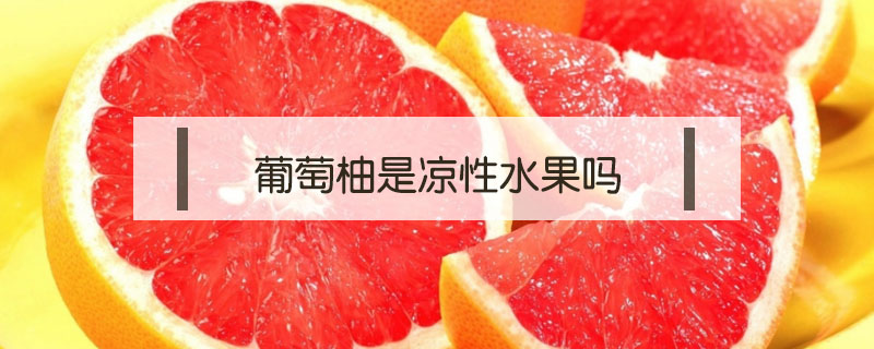 葡萄柚是凉性水果吗