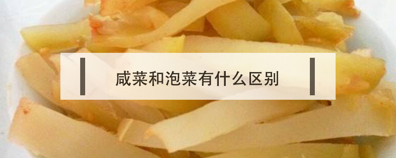 咸菜和泡菜有什么区别