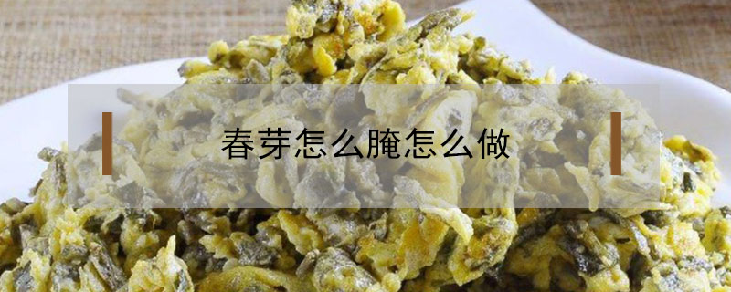 春芽怎么腌怎么做