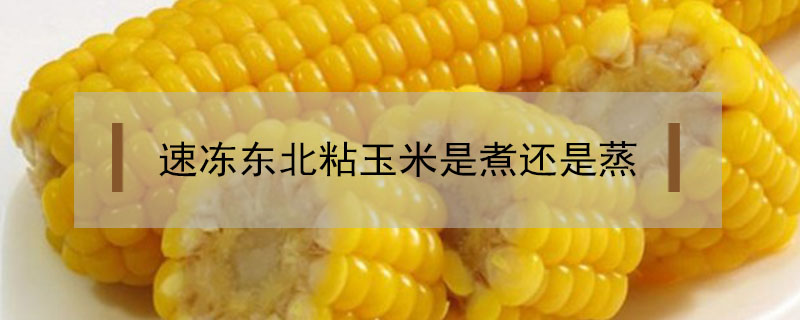 速冻东北粘玉米是煮还是蒸