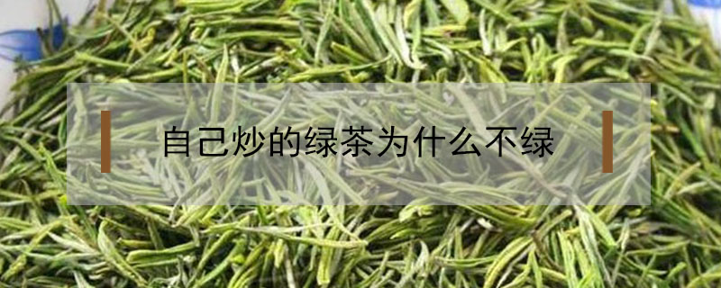 自己炒的绿茶为什么不绿