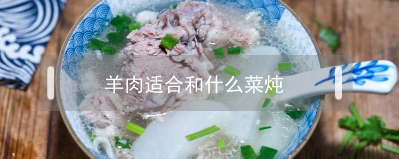 羊肉适合和什么菜炖