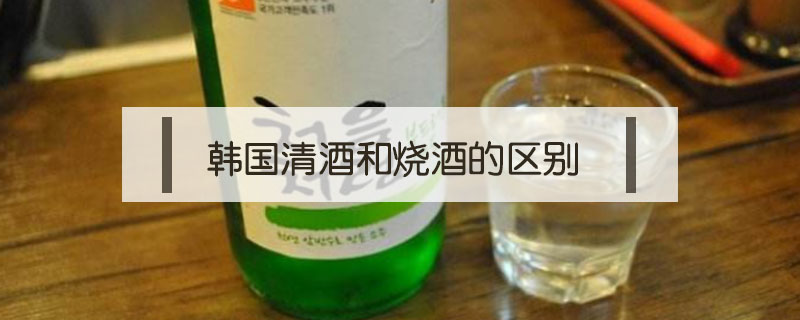 韩国清酒和烧酒的区别