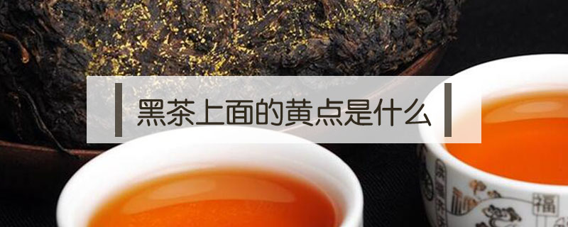 黑茶上面的黄点是什么