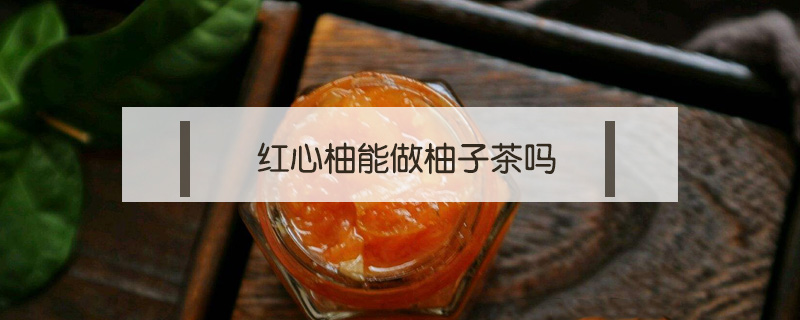 红心柚能做柚子茶吗