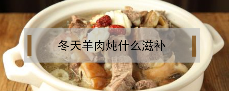 冬天羊肉炖什么滋补