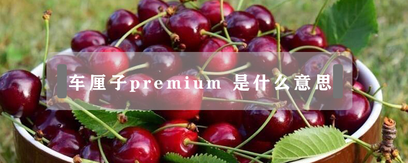 车厘子premium 是什么意思